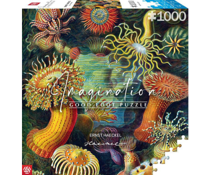 Puzzle Merch Imagination: Ernst Haeckel: Sea Anemones/Stworzenia morskie
